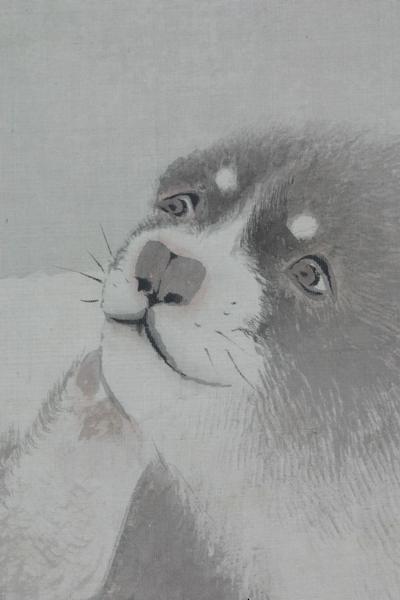 �e���}�i�~�R�����M�j