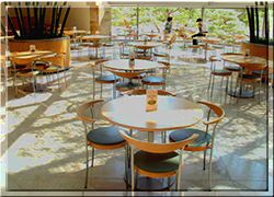 ����� PINE VIEW