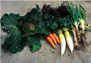 Vegetables from Mr. Kobayashi’s fields.