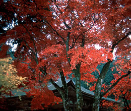 Kongôrin-ji Temple