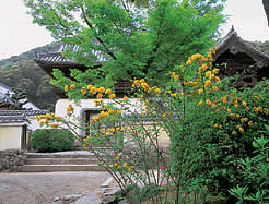 Kôshô-ji Temple