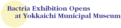 Bactria Exhibition Opens at Yokkaichi Municipal Museum