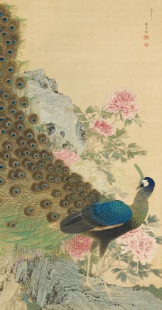 Peacock and Peonies