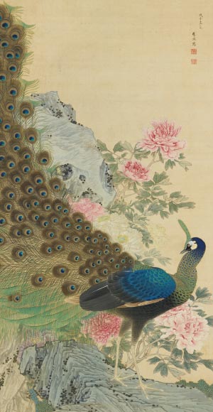 Peacock with Peonies