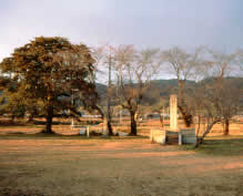 Kunikyô Daigoku Hall and Kokubun-ji Temple Sites