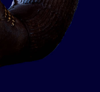 n`g