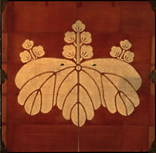 ˖w