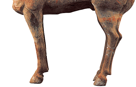 馬