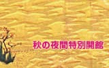 H̖ԓʊJ