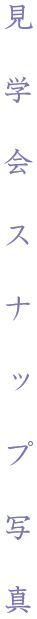 wXibvʐ^