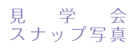 wXibvʐ^