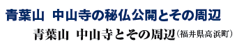 tR@R̔镧JƂ̎
tR@RƂ̎Ӂi䌧lj