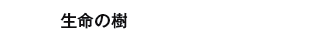 ̎