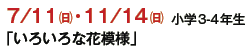 7/11()E11/14()@w3-4N
u낢ȉԖ͗lv