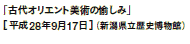 uÑIGgp̖݁v
m28N917niVjفj