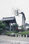 櫟野寺(らくやじ)