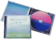 u̗vCD