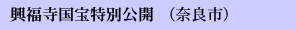 ʌJiޗǎsj